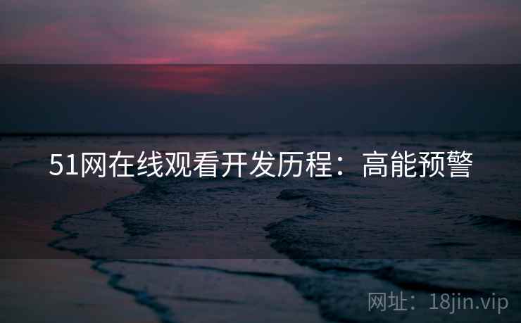 51网在线观看开发历程：高能预警