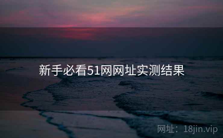 新手必看51网网址实测结果