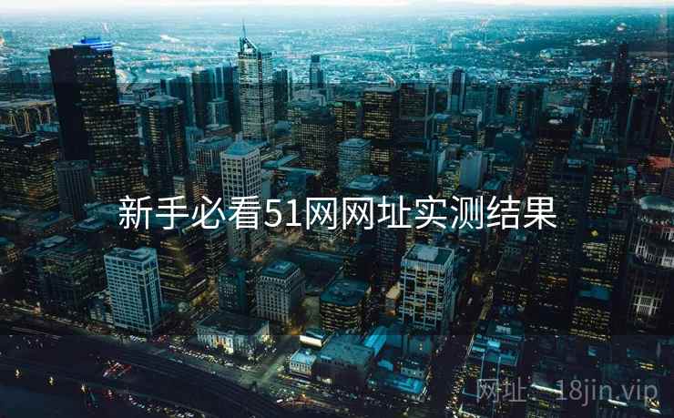 新手必看51网网址实测结果