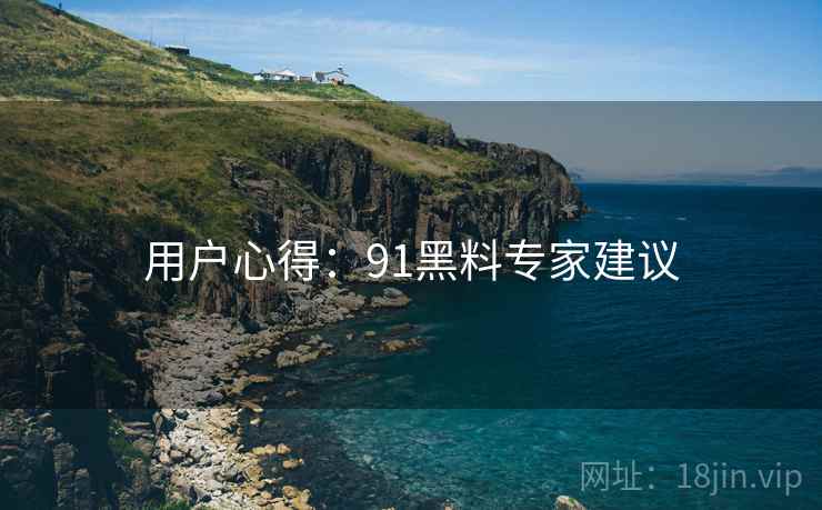 用户心得：91黑料专家建议