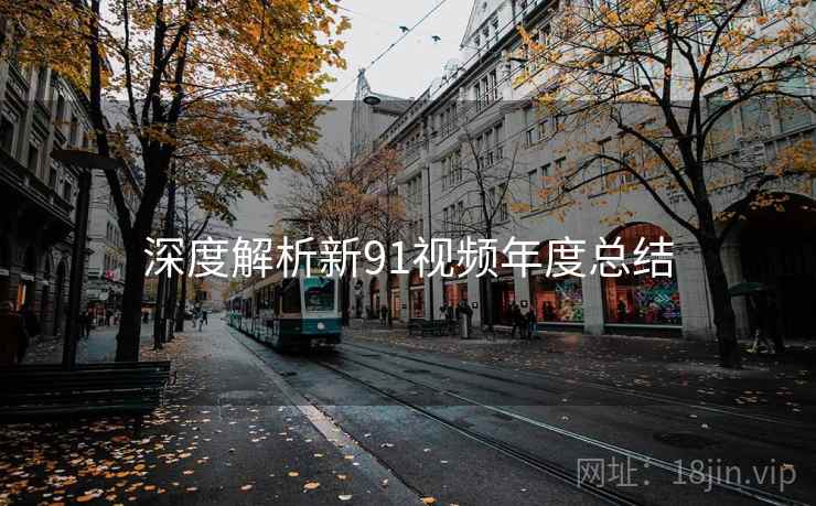 深度解析新91视频年度总结