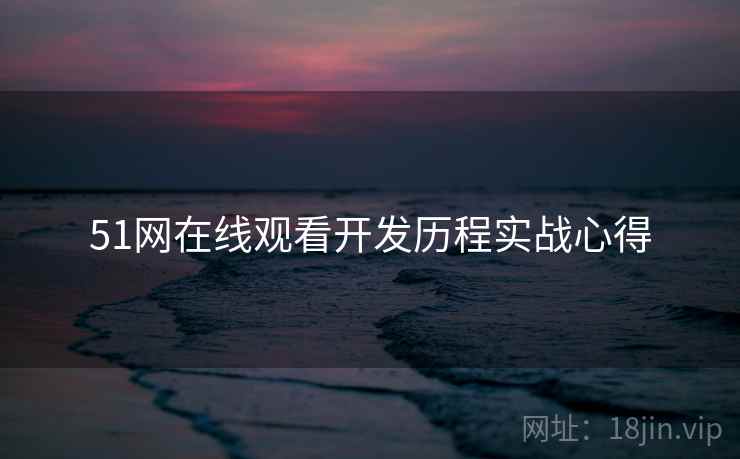 51网在线观看开发历程实战心得