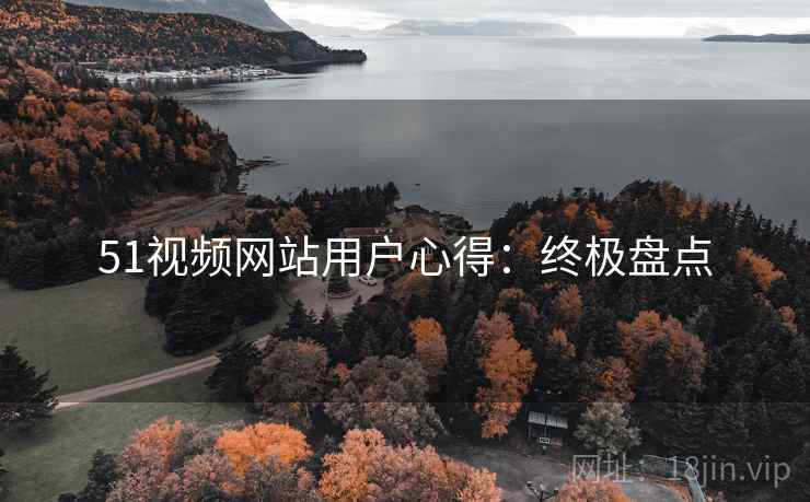 51视频网站用户心得：终极盘点