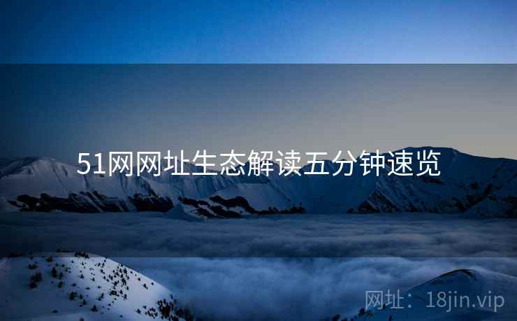 51网网址生态解读五分钟速览