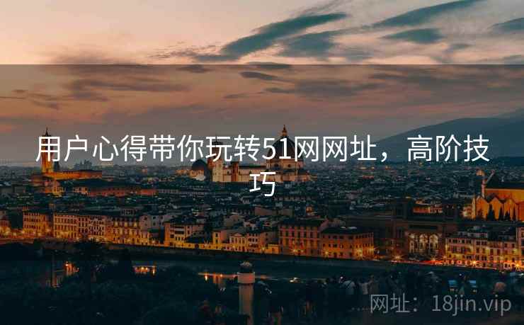 用户心得带你玩转51网网址，高阶技巧