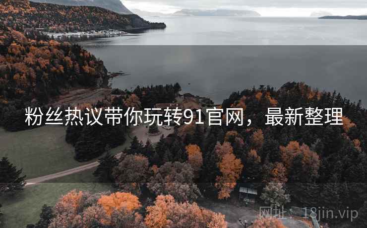 粉丝热议带你玩转91官网，最新整理