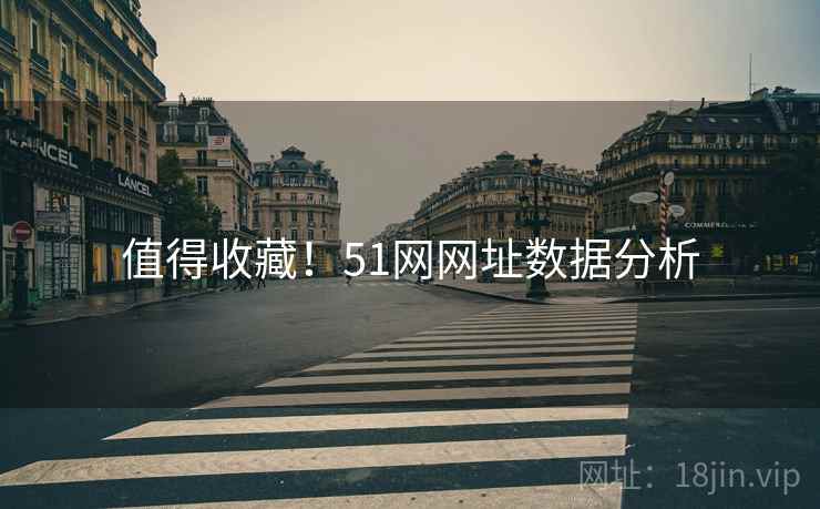 值得收藏！51网网址数据分析