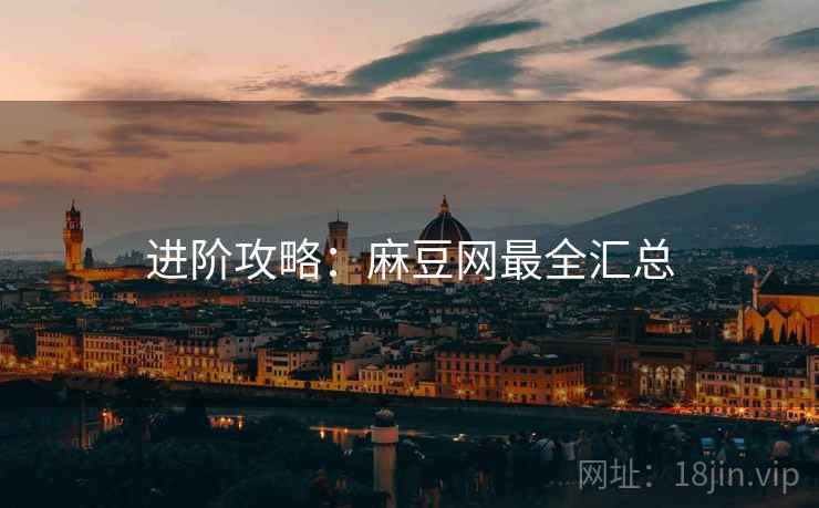 进阶攻略：麻豆网最全汇总