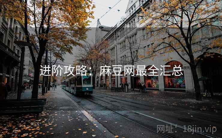 进阶攻略：麻豆网最全汇总