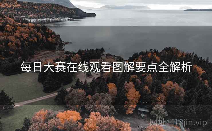 每日大赛在线观看图解要点全解析