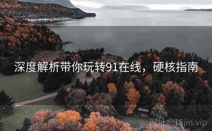 深度解析带你玩转91在线，硬核指南
