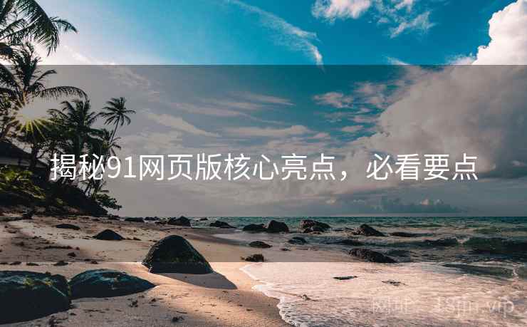 揭秘91网页版核心亮点，必看要点