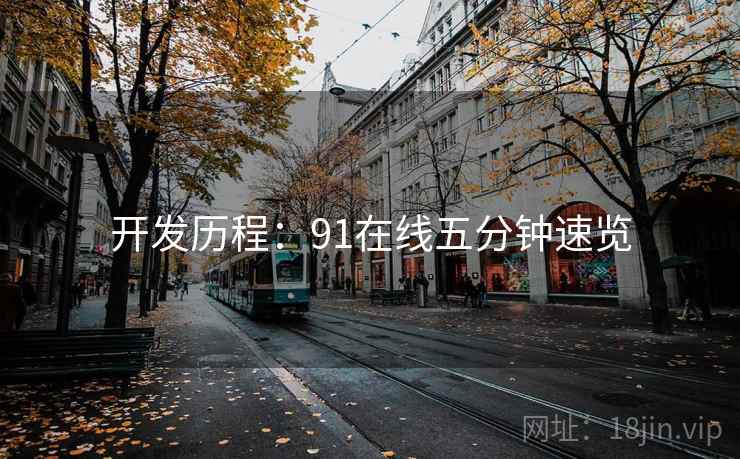 开发历程：91在线五分钟速览