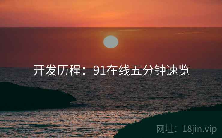 开发历程：91在线五分钟速览