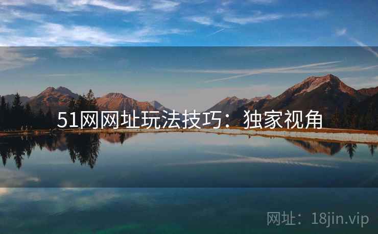 51网网址玩法技巧：独家视角