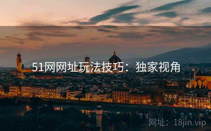 51网网址玩法技巧：独家视角