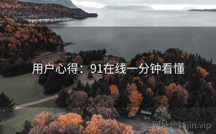 用户心得：91在线一分钟看懂