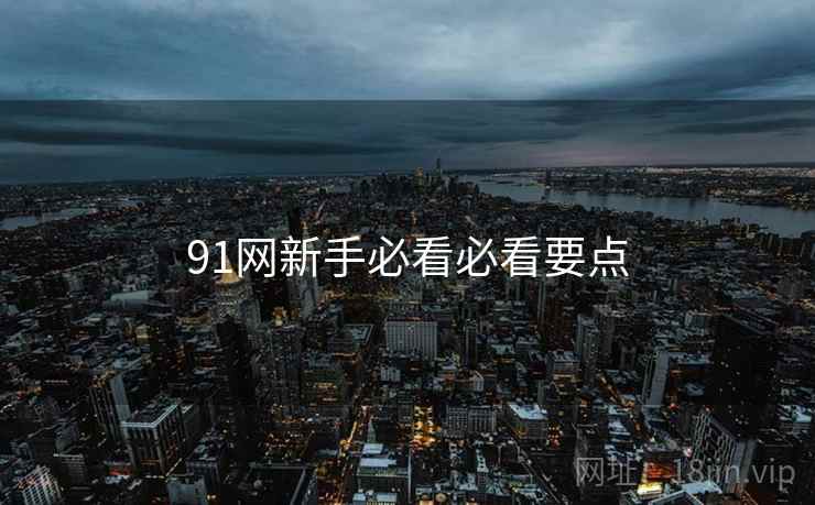 91网新手必看必看要点