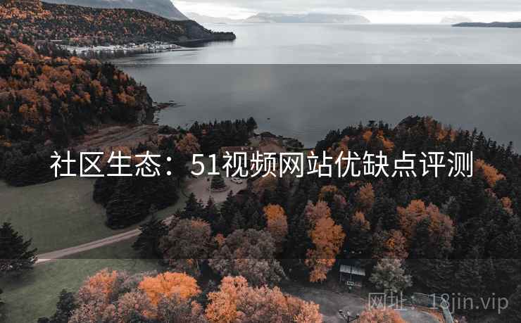社区生态：51视频网站优缺点评测
