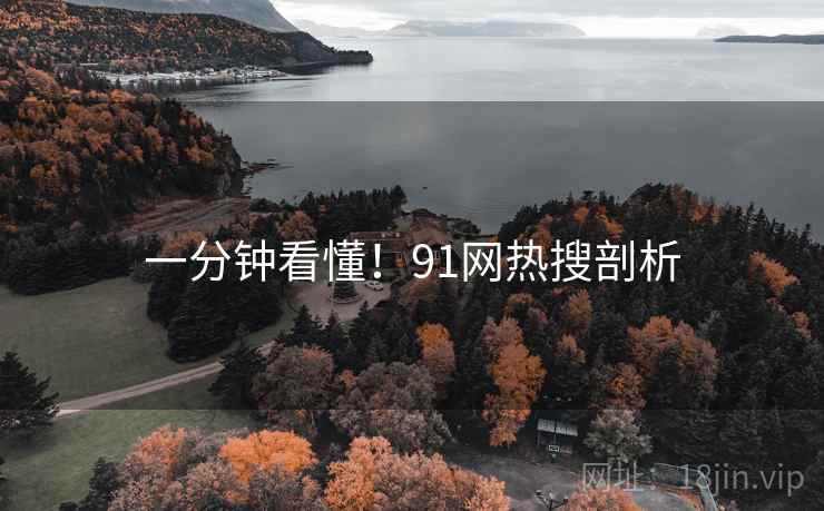 一分钟看懂！91网热搜剖析