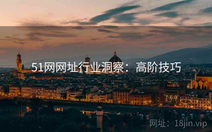 51网网址行业洞察：高阶技巧