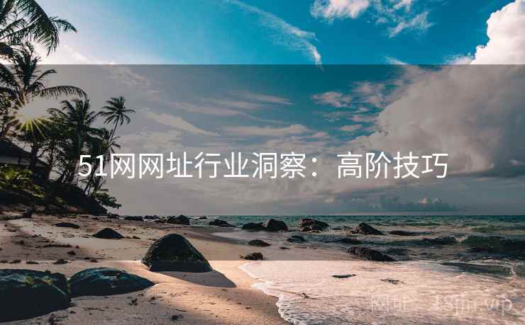 51网网址行业洞察：高阶技巧