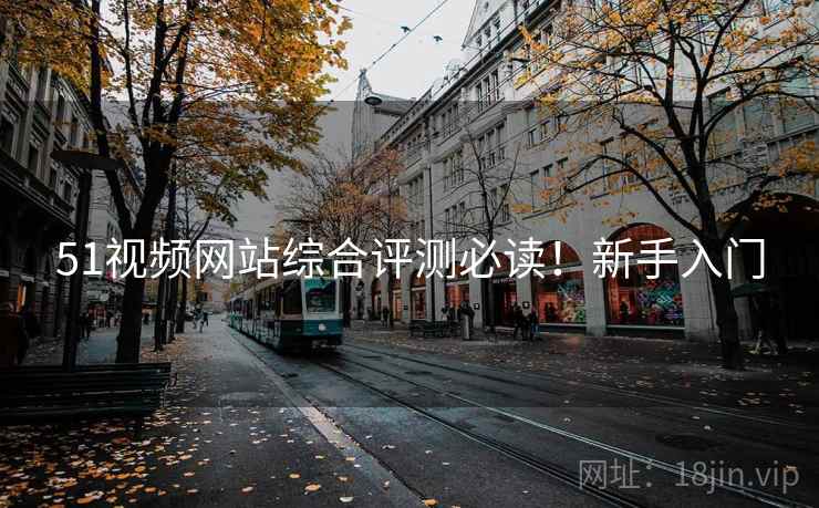51视频网站综合评测必读！新手入门